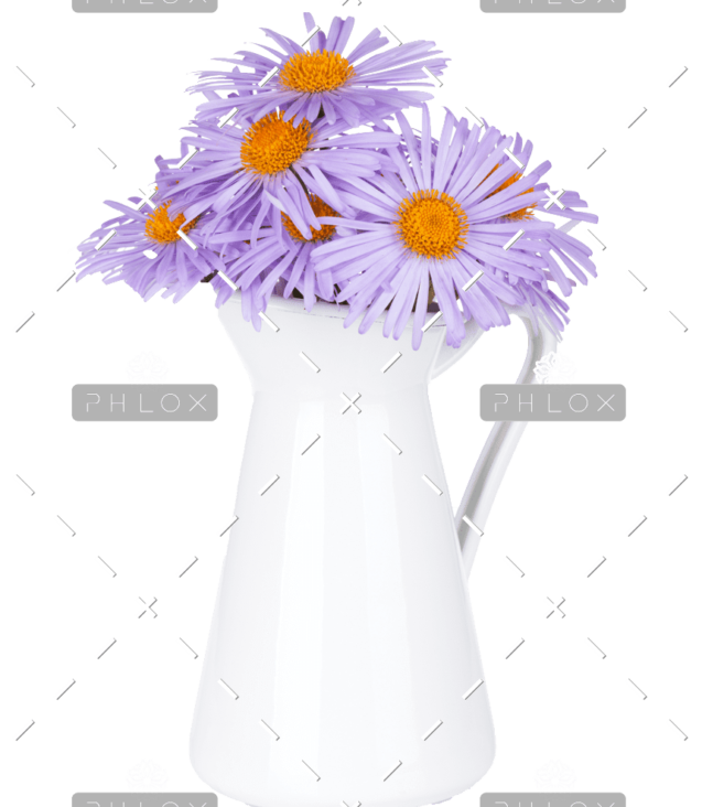 demo-attachment-146-blue-camomile-flowers-in-jug-P6Z6KCB