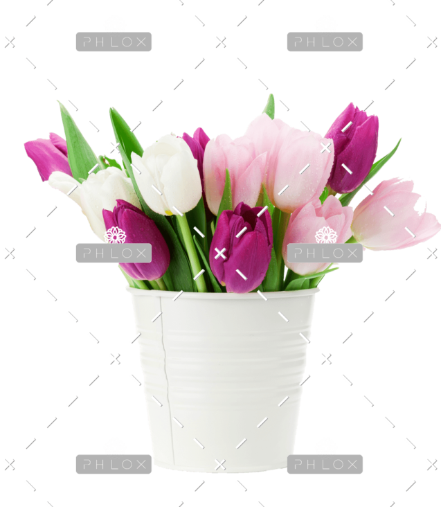 demo-attachment-167-colorful-tulips-bouquet-NFESY4P-copy-1