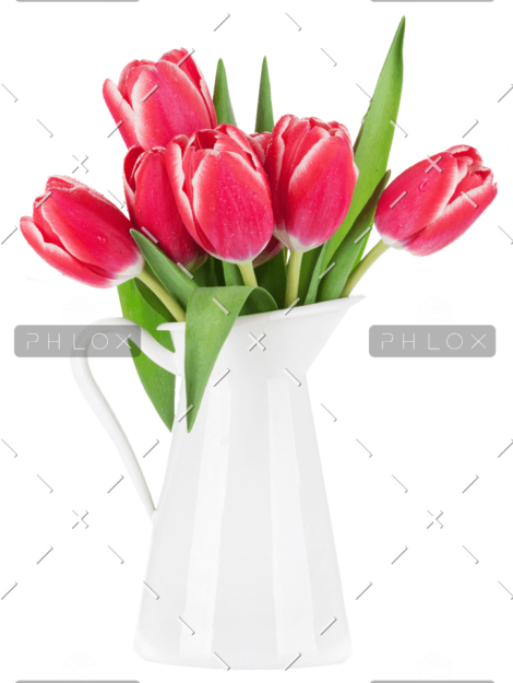 demo-attachment-99-red-tulip-flowers-bouquet-P85CFN2-e1585207182450